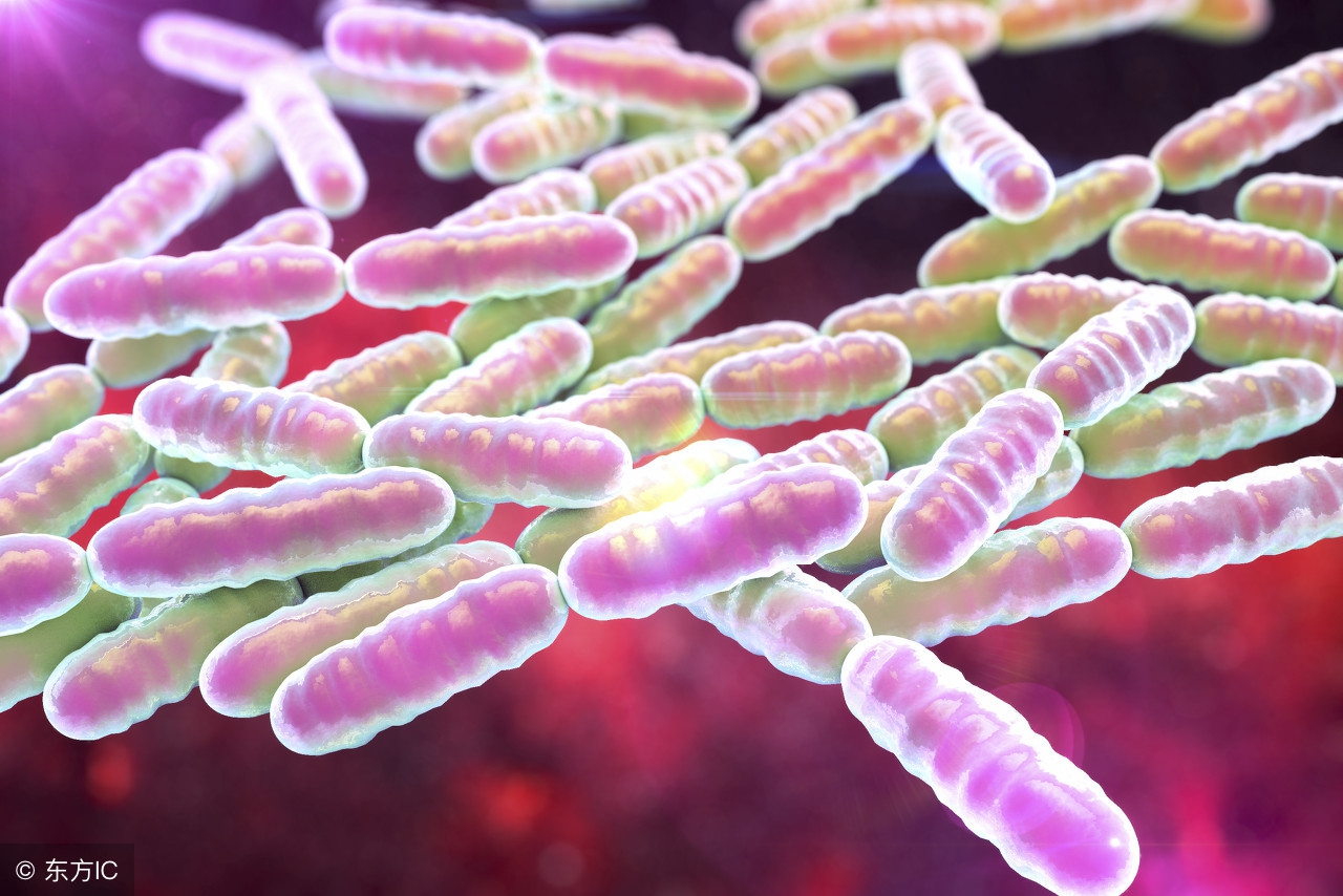 怎么预防多屁,屁多屁臭警惕四种原因