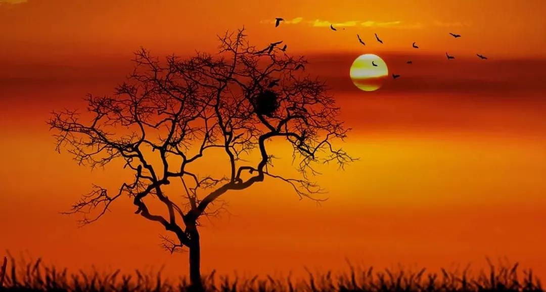 闲时立黄昏的唯美诗词,最美的诗词闲时与你立黄昏