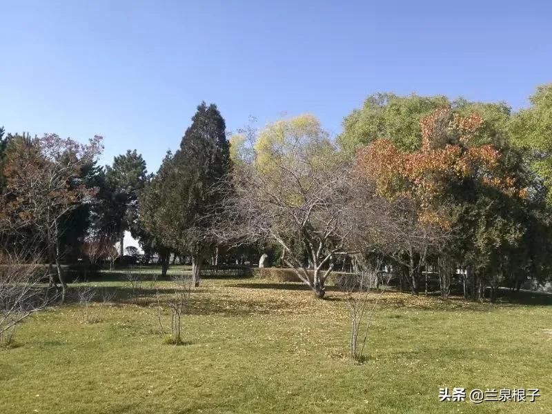 立冬自然风景,立冬雪景山水风景视频