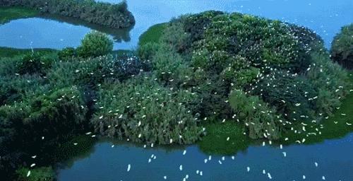 常熟阿诺凭什么做dms的裁判,常熟凭什么房价这么贵