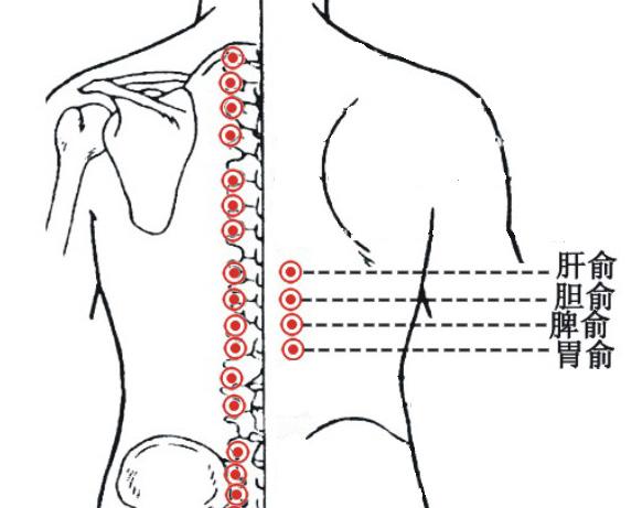 十大实用针灸穴位,针灸特殊穴位主治歌诀