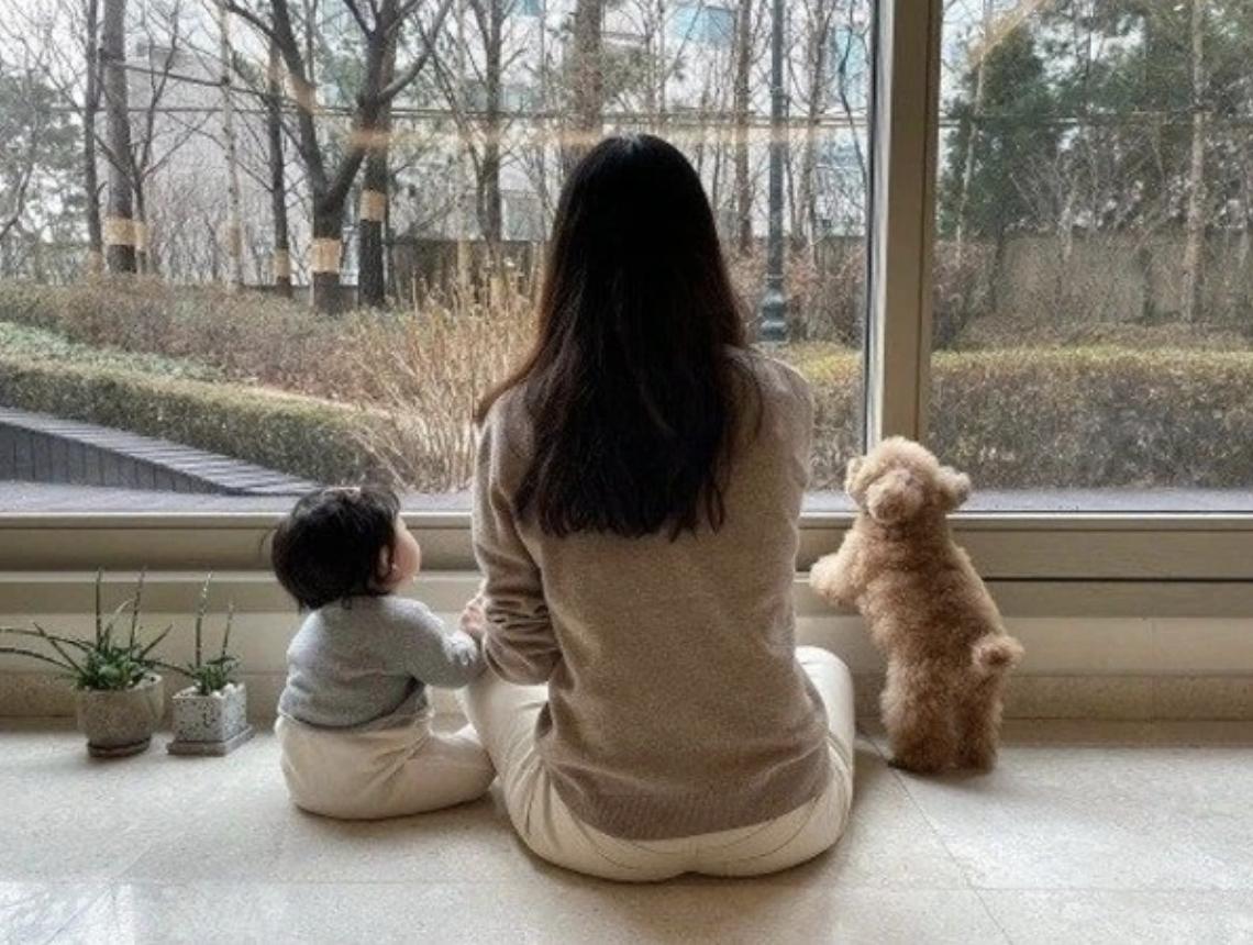 朴信惠结婚请了哪些人,韩国女星嫁给中国的有哪些