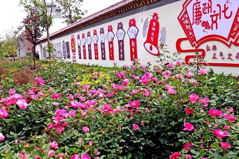 大荔美吗,大荔县的美