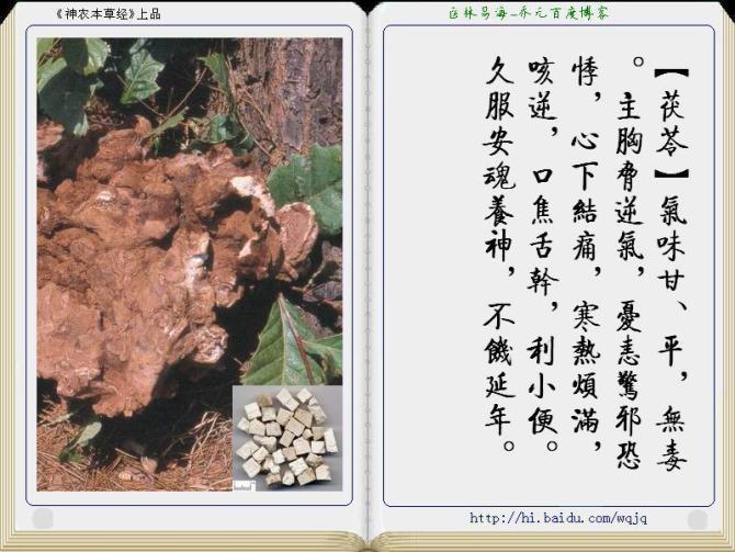 本草纲目中药讲解视频,本草纲目中药图谱及药理讲解