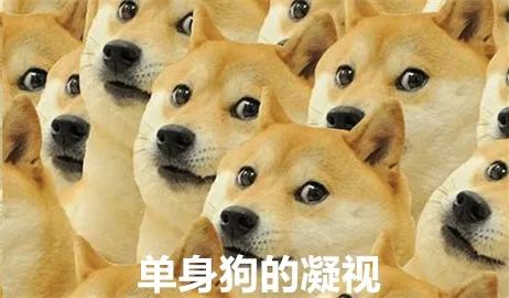 零零后的扩列交友，那头是缘还是劫？