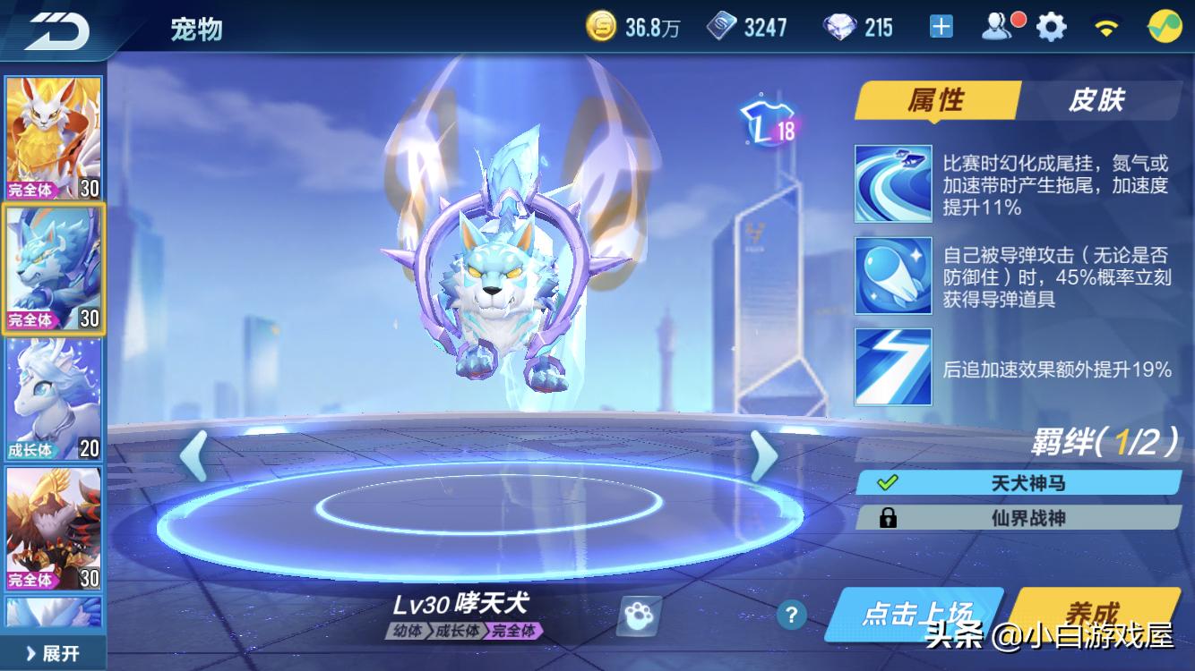 QQ飞车手游：道具宠物排名，秘境宠占据大半江山，别再说傻宠了