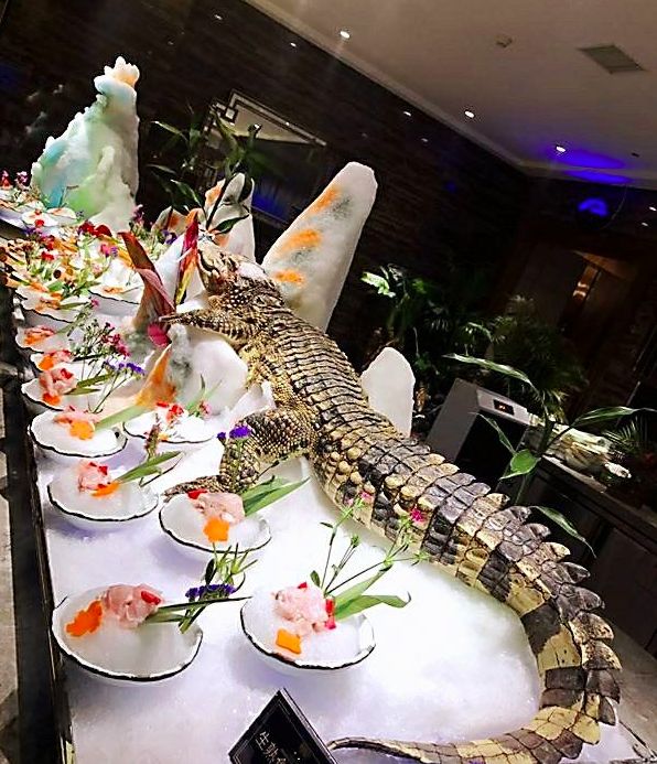 就任性一回什么意思,天津13元自助餐推荐