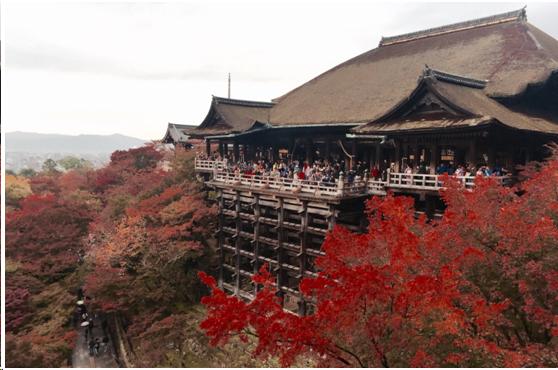 来到日本不能错过章鱼小丸子,来东京不能错过的地方