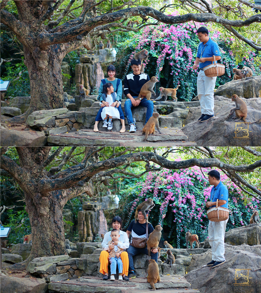 海南猴岛旅游自由行攻略,海南猴岛和呆呆岛攻略