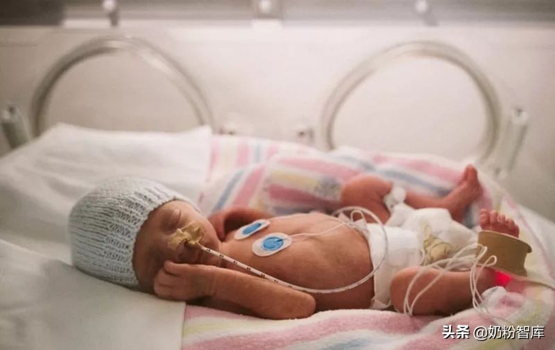 只从饮食中补充dha够了吗,哪些人群也需要补充dha