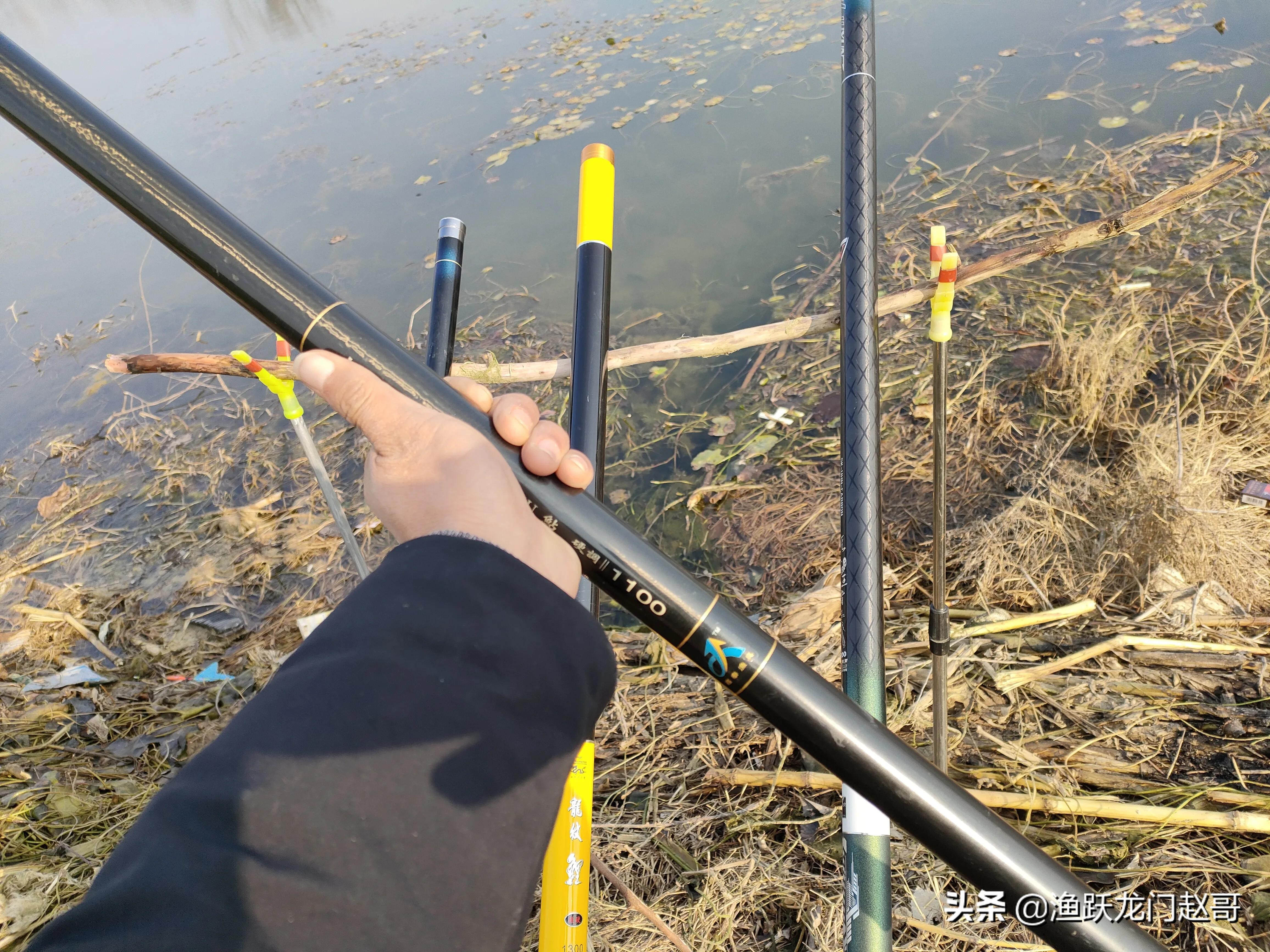传统钓长竿选择的困惑，赵哥一次性说清楚，看你的鱼竿选对了了吗