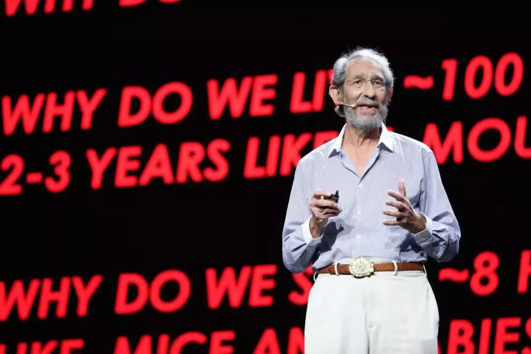 科学家找到6个神奇的数字,科学家找到6个神奇数字