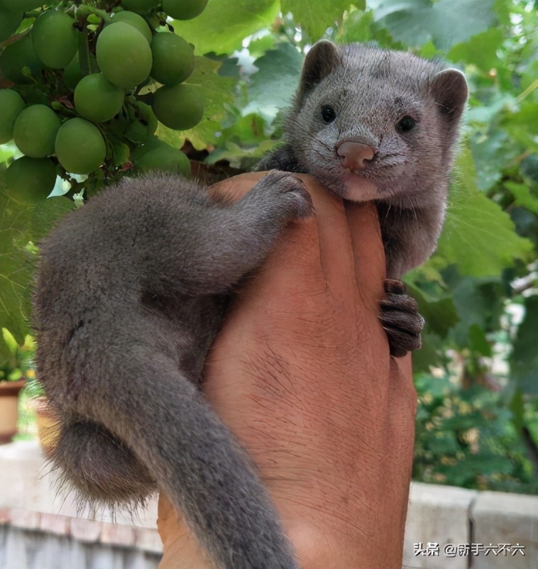 女人自己创业做什么最赚钱,赚钱创业小项目有哪些
