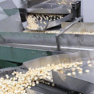 看旺旺的工厂，还以为来到了游乐园