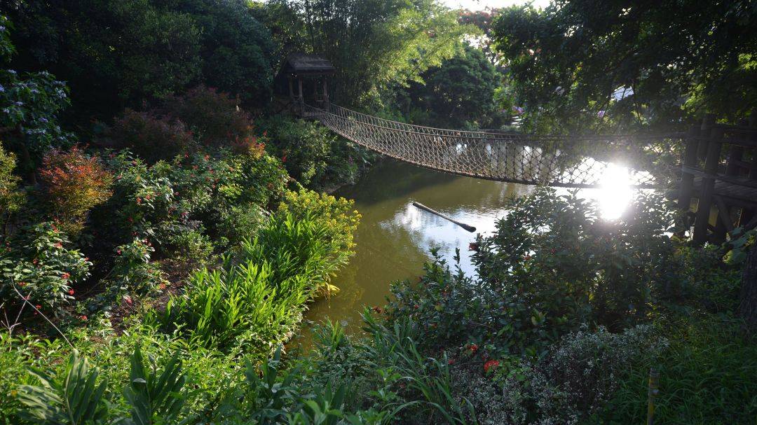 南山青青世界风景区,南山青青世界公园有什么