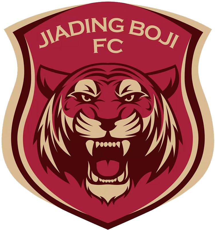 中国足球国家队的队徽变化史,各大足球队队徽盘点