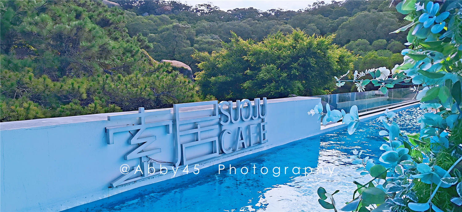 厦门民宿别墅无边泳池,厦门爱马仕洗护民宿