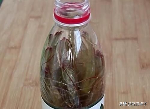 大虾保鲜别直接放冰箱了,大虾放冰箱保鲜方法