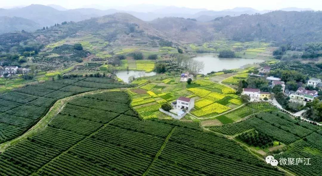 庐江乐桥岱尔山景区,庐江矾山有哪些景区