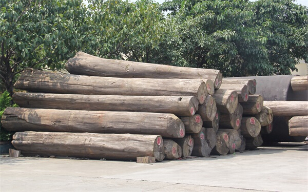 常见木材的种类简介及图片,常见木材的种类档次