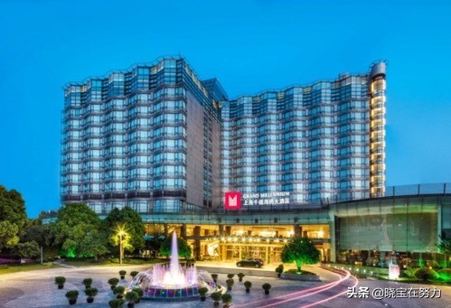 上海五星级酒店推荐大全,上海市五星级宾馆有多少家