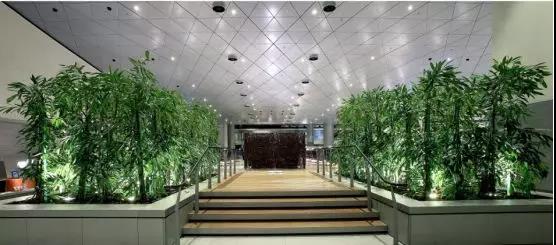 卡塔尔航空商务舱功能攻略,卡塔尔航空商务舱和头等舱的区别