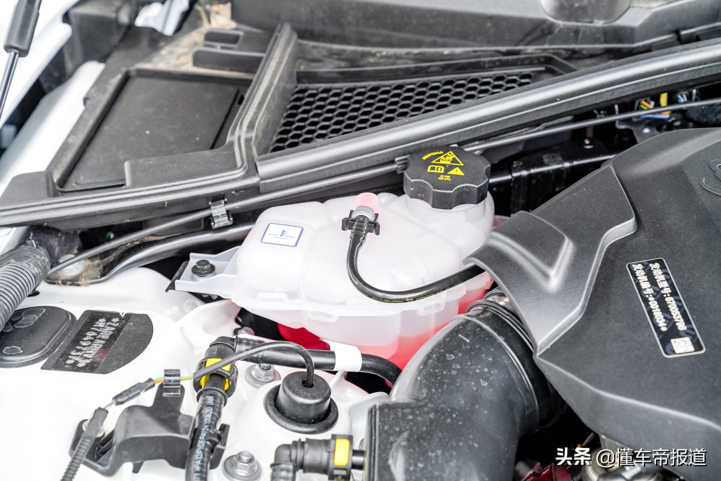 新车阿尔法罗密欧suv,新车性能了解