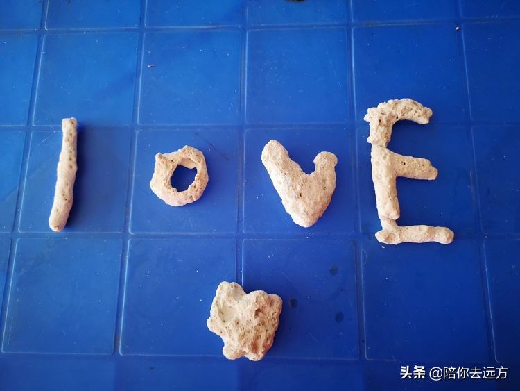 南海西沙岛礁全图,南海西沙群岛海域