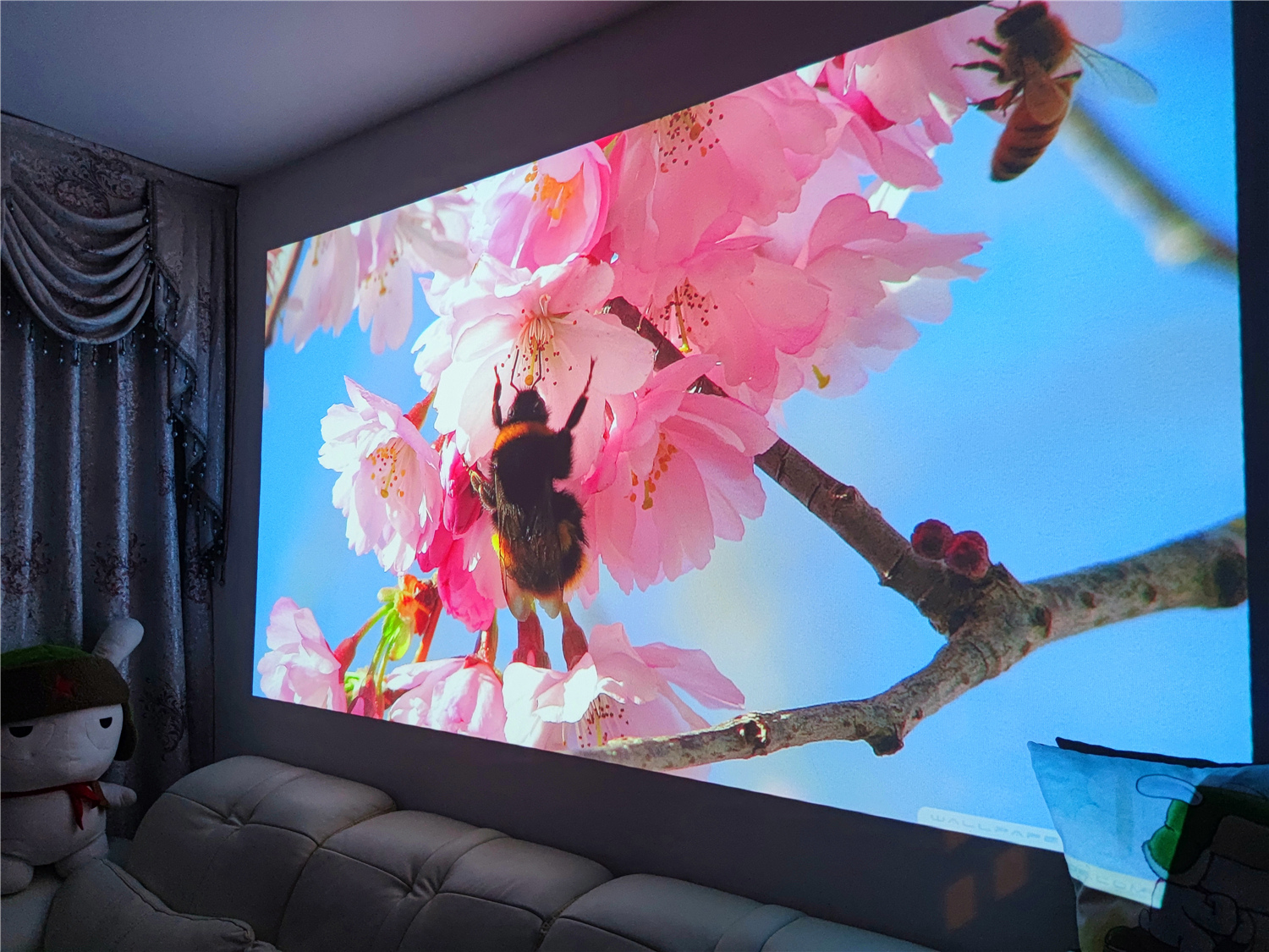 极米投影仪play超悦版测评,极米play超悦系统更新