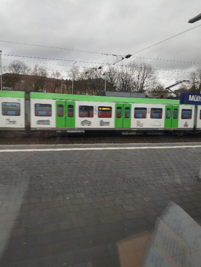 难忘的德国之旅,一周之内德国之旅