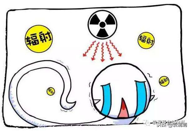 精子的十三种死法