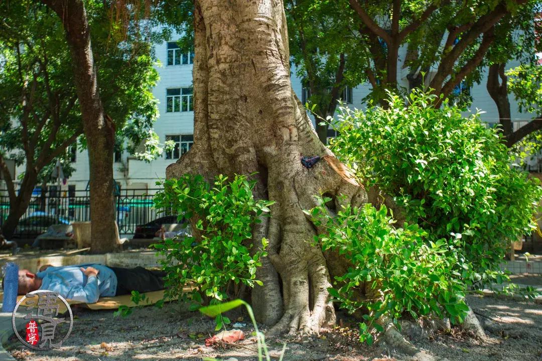 普宁二中操场改造,普宁流沙中华新城旧貌