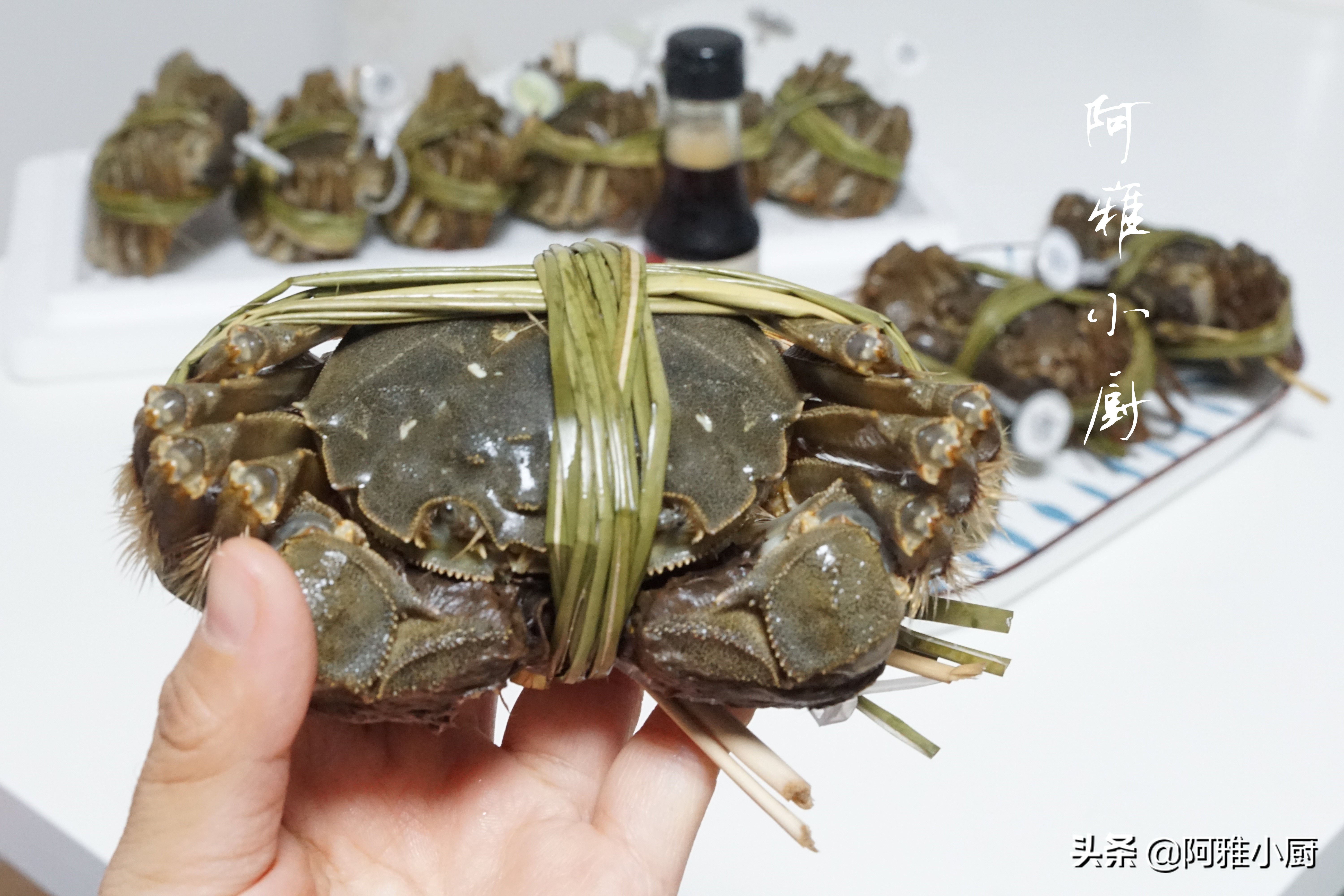 大闸蟹对比,公大闸蟹和母大闸蟹哪个更好吃