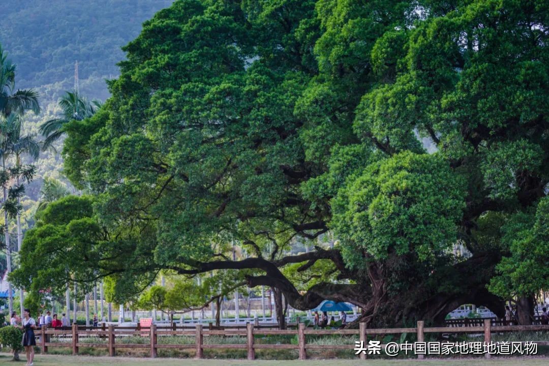 福建省会福州怎么样,福建的省会为什么是福州