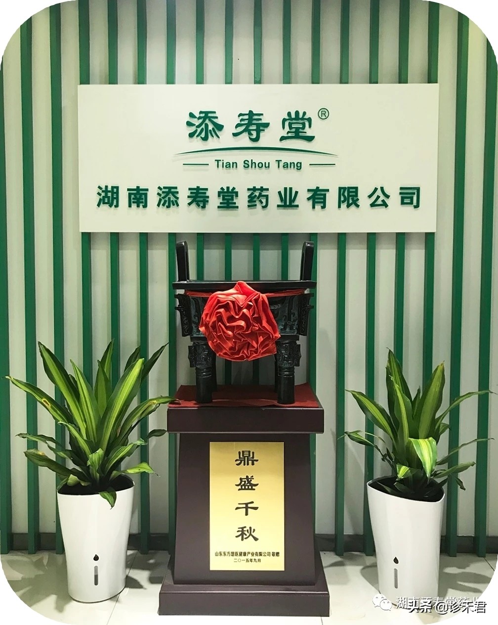 湖南诊禾医疗,诊禾医疗北京