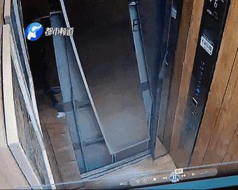 野孩子和大猩猩,野孩子熊孩子