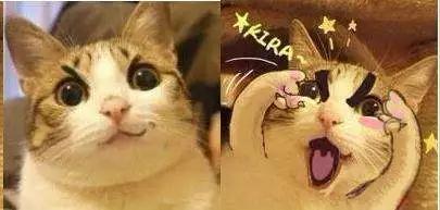 感觉自己萌萌哒外国版,感觉自己萌萌哒卖萌无罪