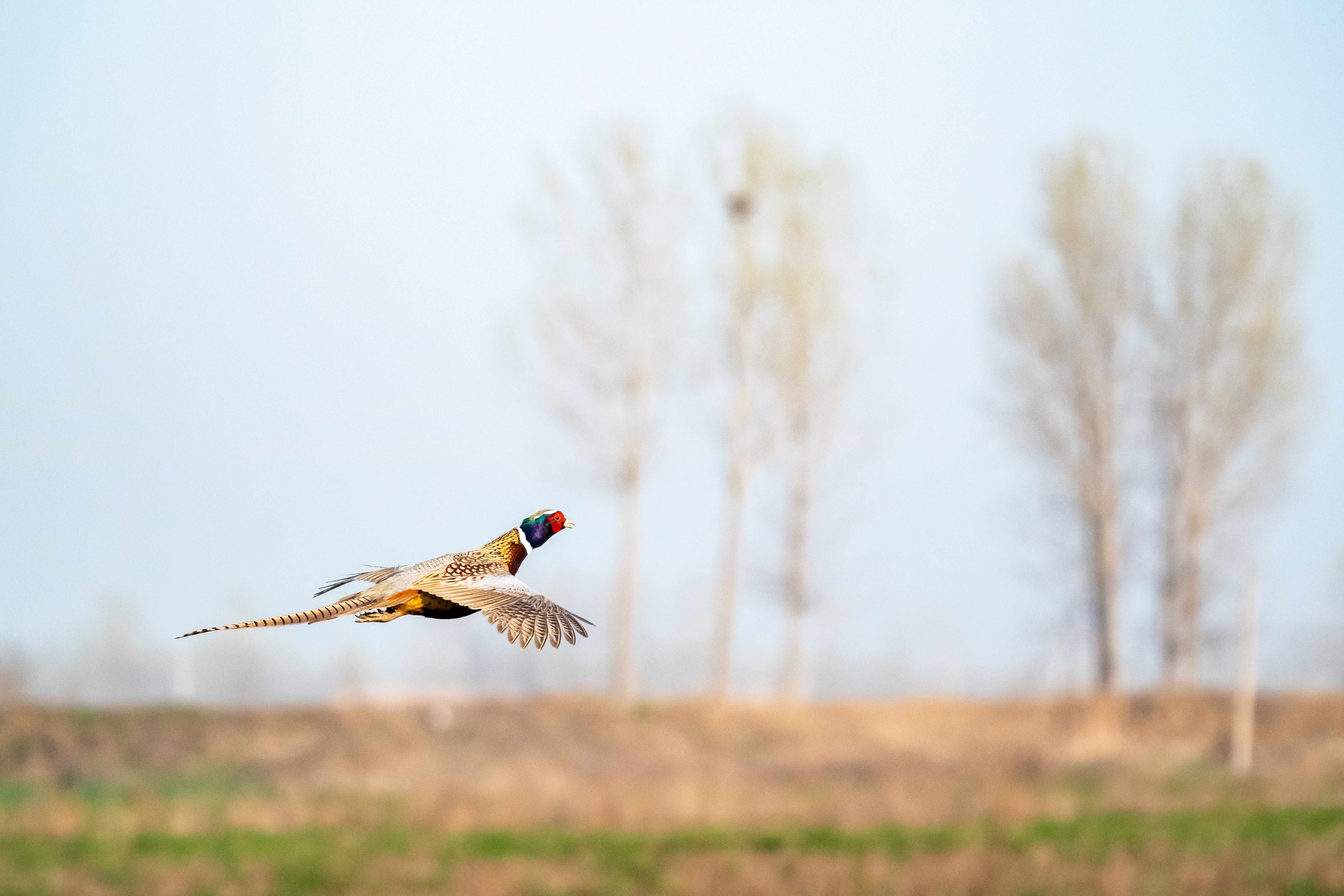 兰考新貌摄影集,兰考摄影团队