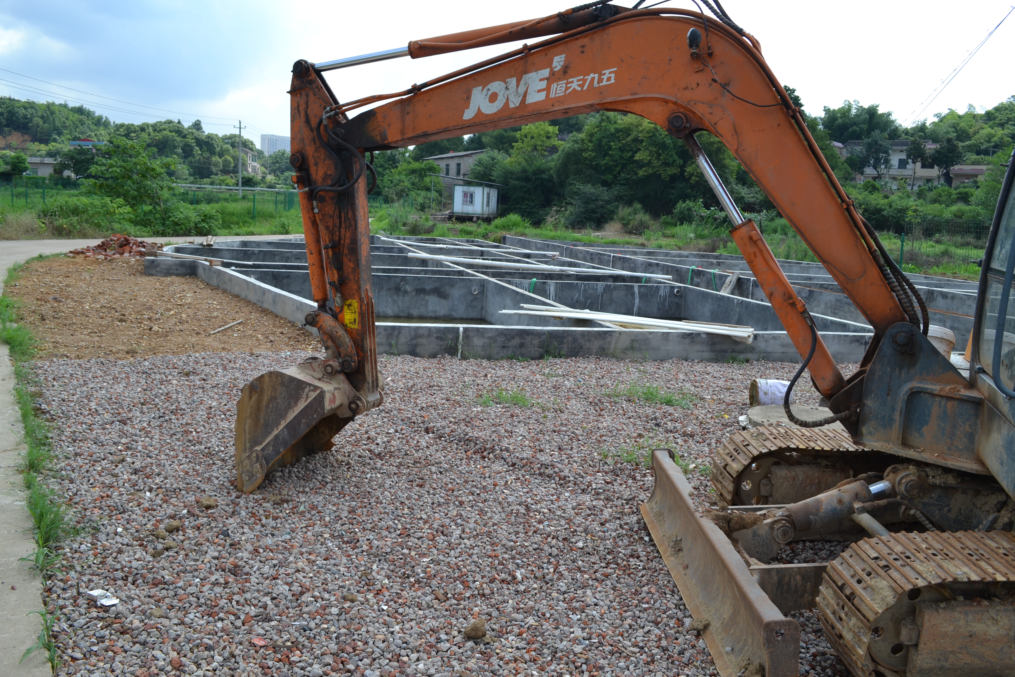 湖南最好的锦鲤养殖基地,湘潭锦鲤养殖