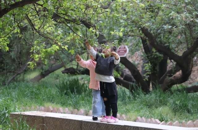 足球小镇建业网红桥,建业足球小镇攀岩