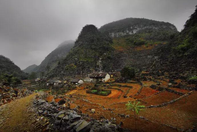 探秘广西巴马长寿之旅,广西巴马长寿探秘之旅
