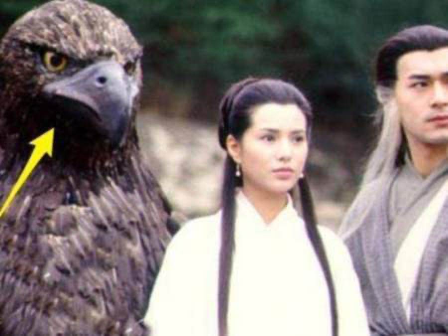 新增9群丨大家期盼的“神雕群”来了