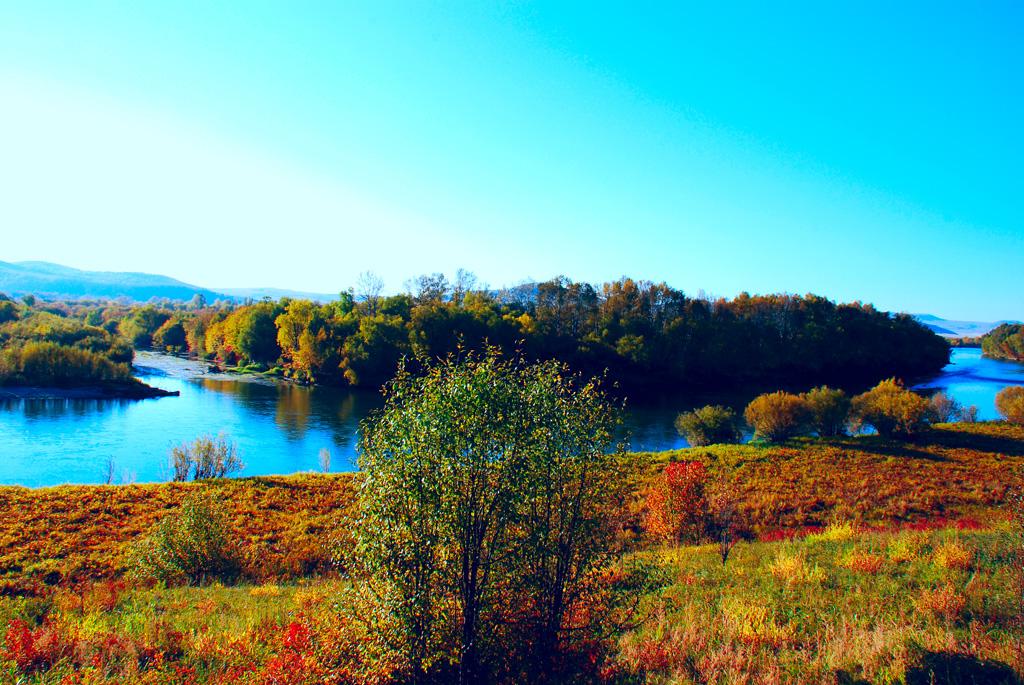 亚洲第一湿地额尔古纳游记,额尔古纳湿地野生观景点