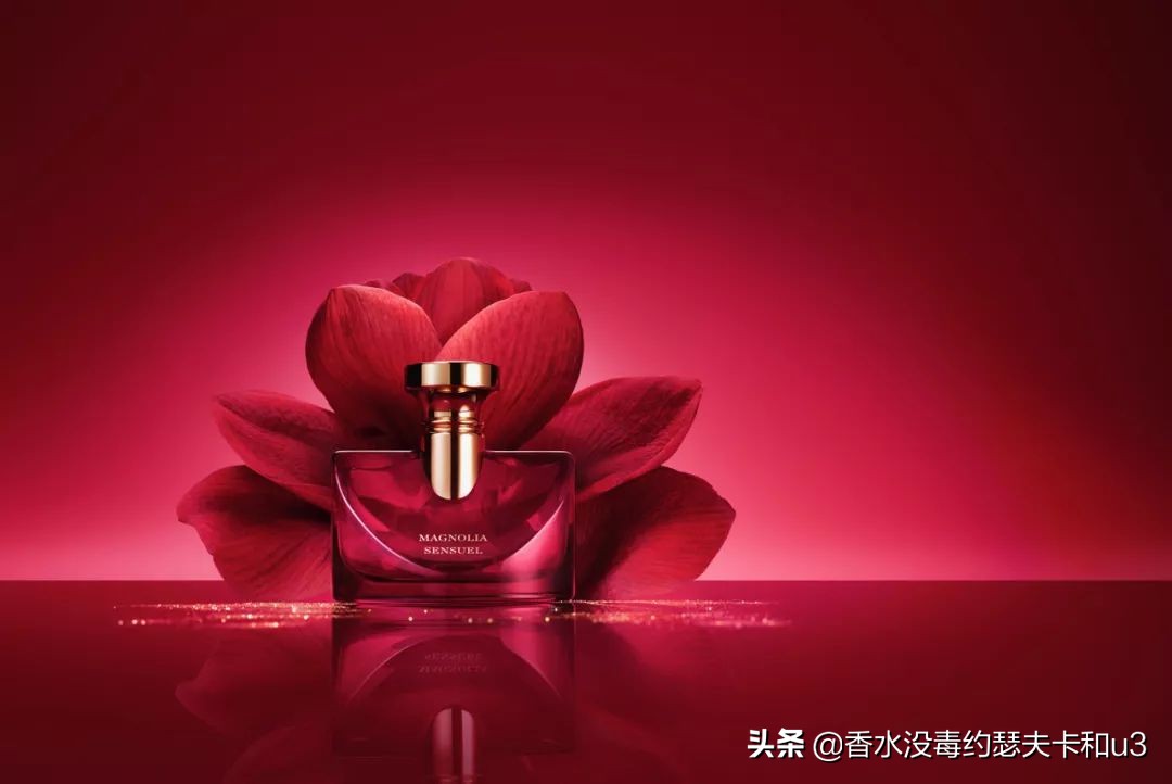 宝格丽香水都有哪些款,宝格丽香水哪一款最受欢迎