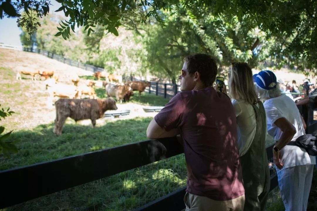 豆瓣9.3分这对夫妻打造1200亩生态农场，“堪称美版「李子柒」”