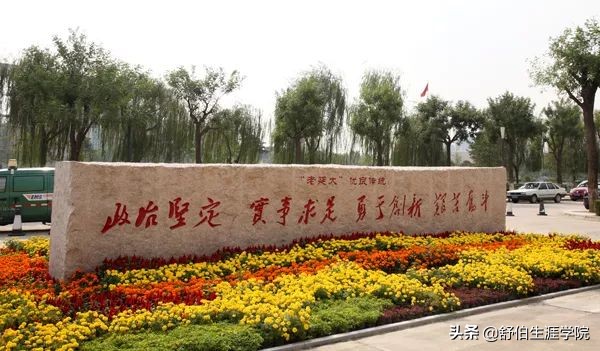 舒伯职业生涯,舒伯生涯书籍