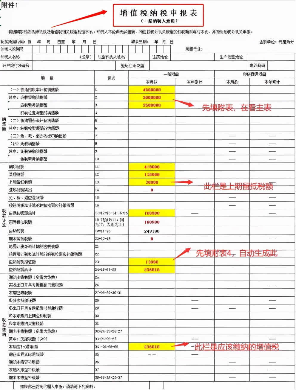 刚毕业到公司实习，不到一个月我就转正了，只因为我懂报税