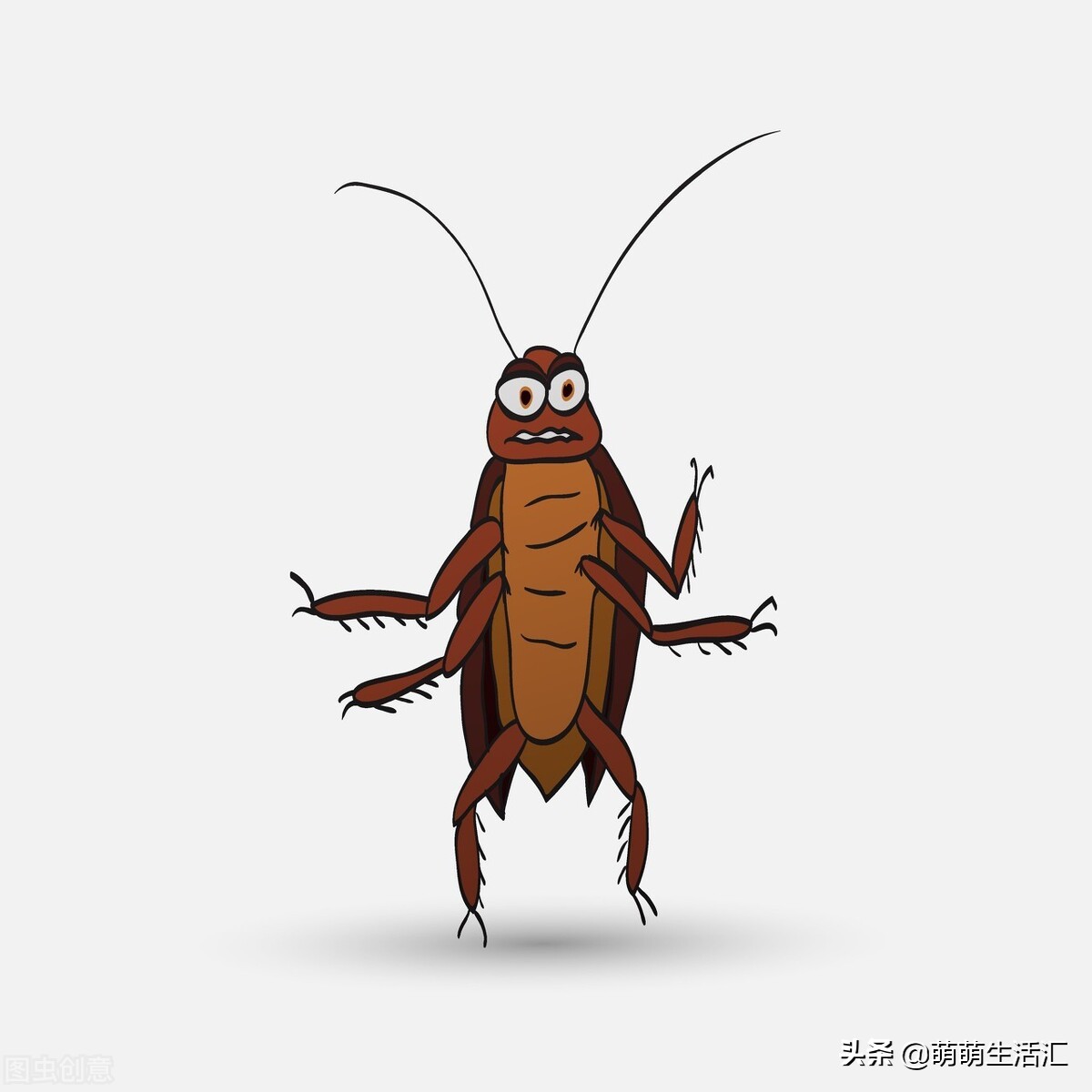 家里有好多蟑螂用什么药,家里有蟑螂怎么办最有效的方法