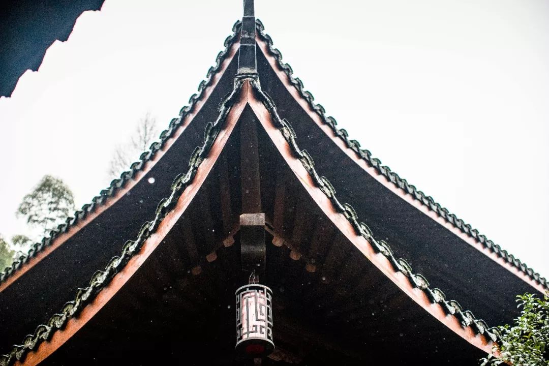 江南三大梅园,杭州江南三大梅花