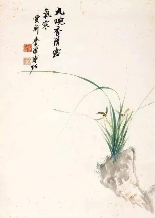 淡彩兰花100幅,顶级淡彩兰花图片